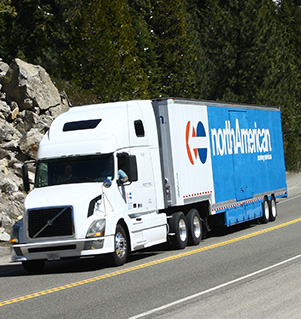 North American Van Lines - New Braunfels, TX
